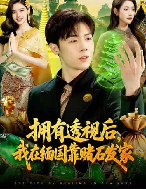 拥有透视后,我在缅国靠赌石发家(110集全)张如意&苏弈-搜外项目网