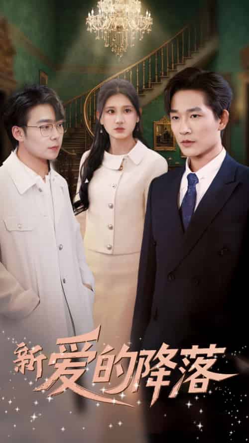 新爱的降落（48集全）张旋＆杨珊-搜外项目网