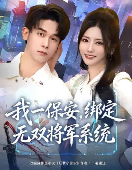 我一保安,绑定无双将军系统(80集全)张嘉妤&胡文飞-搜外项目网