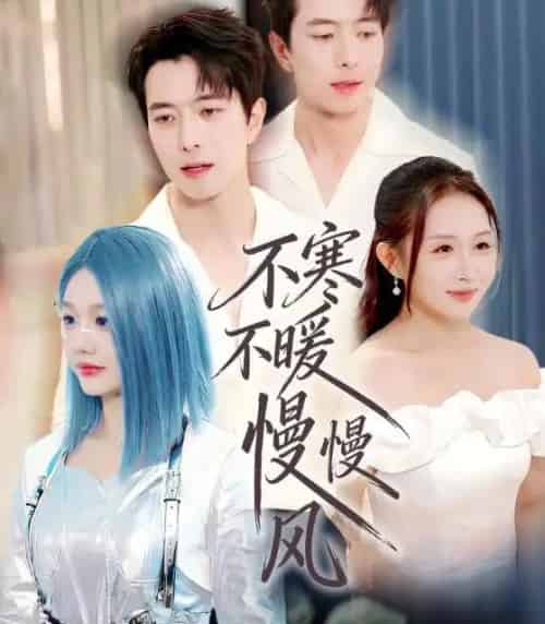 不寒不暖慢慢风（70集全）仇乐瑶＆傅汉源-搜外项目网