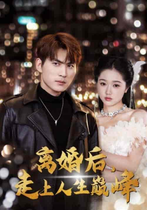 离婚后，走上人生巅峰（100集全）宁凡＆夏婉柔-搜外项目网