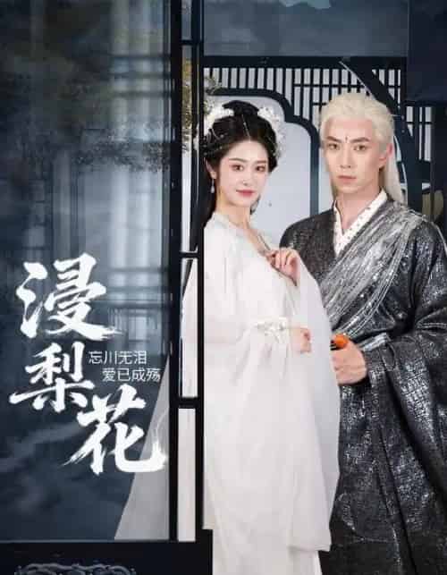 浸梨花(50集全)傅汉源&戴琪萱-搜外项目网