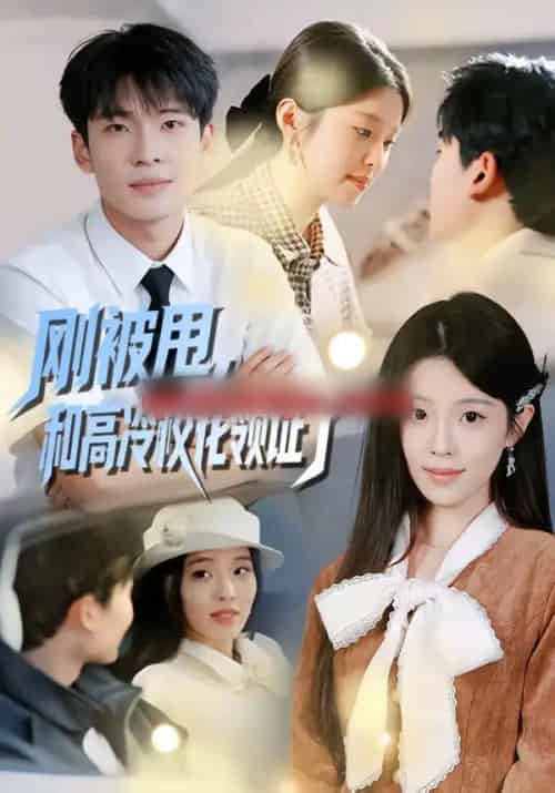 刚被甩,和高冷校花领证了(67集全)杜宇琪&傅韶涵-搜外项目网