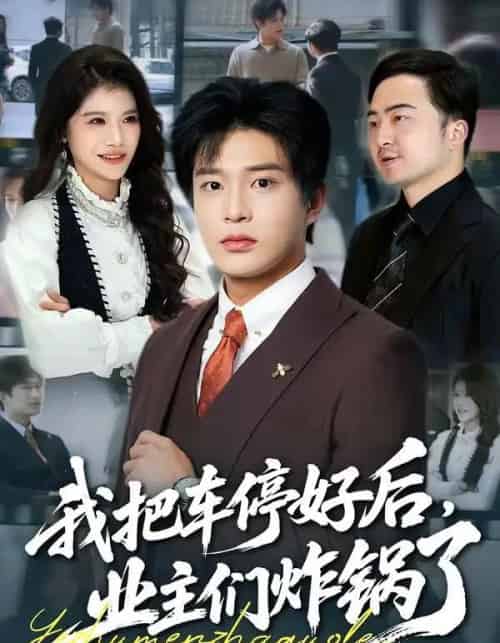 我把车停好后，业主们炸锅了（47集全）朱凯杰＆妞妞-搜外项目网