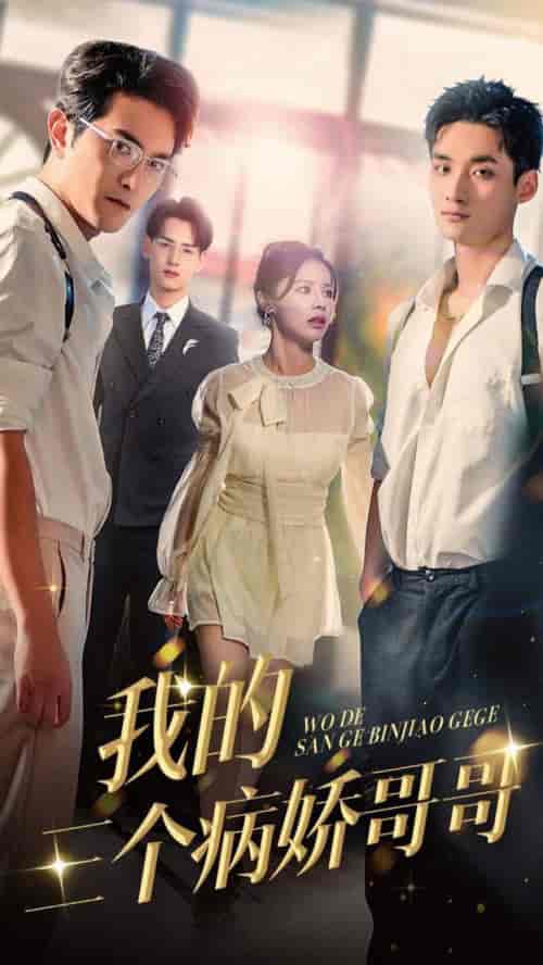 我的三个病娇哥哥(61集全)右智园&柏程俊-搜外项目网