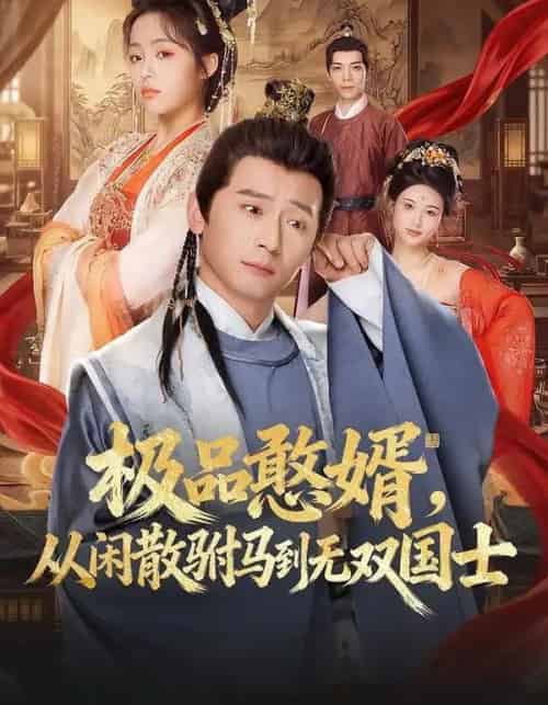 极品憨婿,从闲散驸马到无双国士(76集全)何其炜&林思妤-搜外项目网