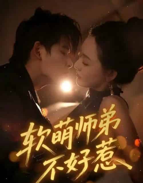 软萌师弟不好惹（60集全）齐轩-搜外项目网