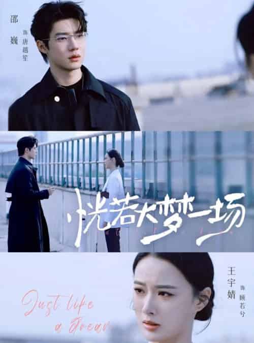 恍若大梦一场（53集全）邵巍＆王宇婧-搜外项目网