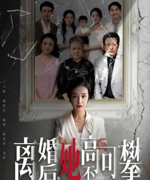 离婚后她高不可攀＆至亲之人伤我最深（67集全）岳子龙＆刘超-搜外项目网