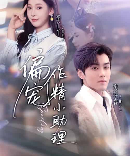 偏宠作精小助理（57集全）李丫丫＆梅梓睿-搜外项目网