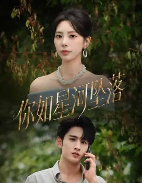 你如星河坠落（65集全）秦萍＆张玉枕-搜外项目网