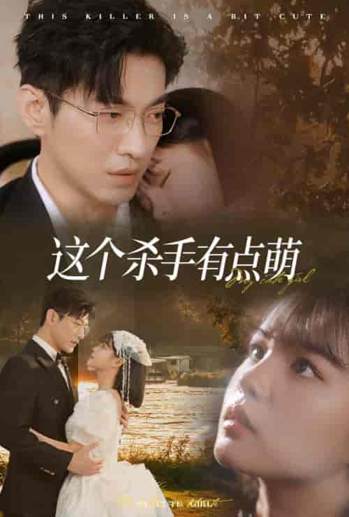 这个杀手有点萌（64集全）于龙＆杨咩咩-搜外项目网
