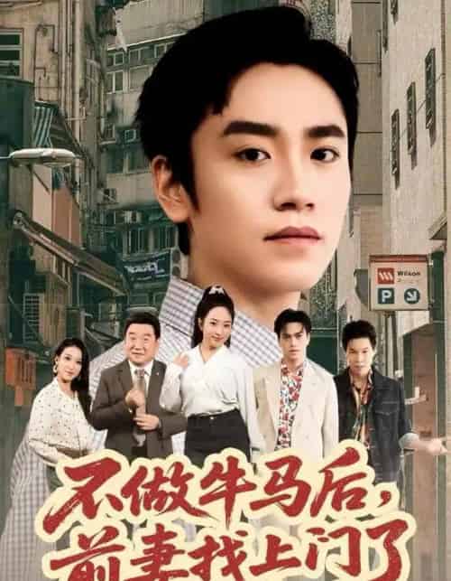 不做牛马后，前妻找上门了（68集全）蔡明哲＆黄傲-搜外项目网