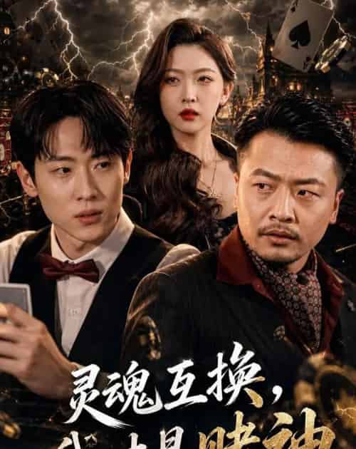 灵魂互换，我才是赌神（61集全）薛滨弘＆任绵绵-搜外项目网