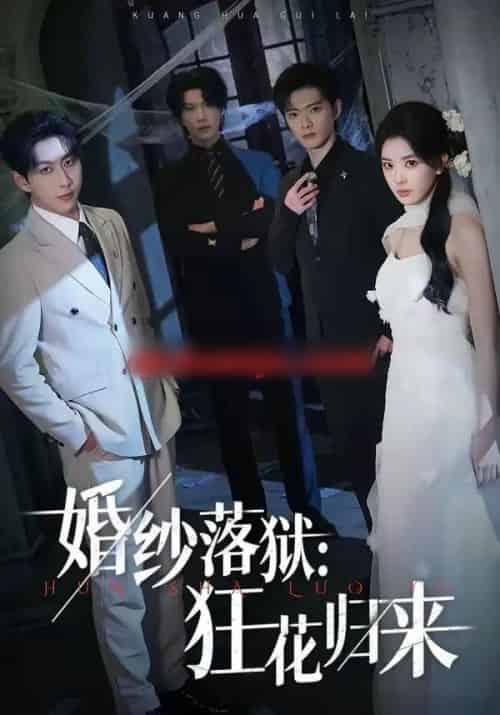 婚纱落狱:狂花归来(60集全)陈梦玲&戴睿-搜外项目网