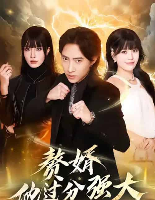 赘婿他过分强大(51集全)苏俊宇&韩悦-搜外项目网