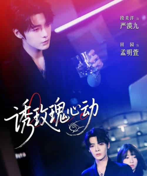 诱玫瑰心动(69集)段美洋&田园-搜外项目网