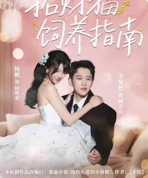 招财猫饲养指南（92集全）李梦然＆杨帆-搜外项目网