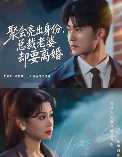 聚会亮出身份，总裁老婆却要离婚（81集全）梅子健＆任柏玉-搜外项目网