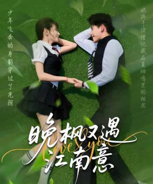 晚枫又遇江南意（60集）吴宇航＆马铭婕-搜外项目网