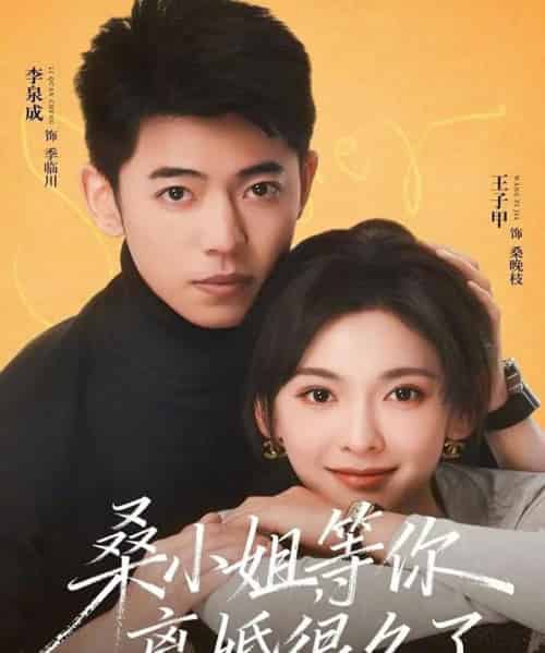 桑小姐，等你离婚很久了（70集全）李泉成＆王子甲-搜外项目网