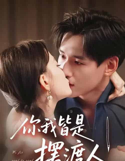 你我皆是摆渡人(82集全)姚筱筱&杨晨-搜外项目网