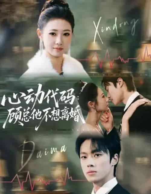 心动代码：顾总他不想离婚（80集全）管怡欣＆杨晨-搜外项目网