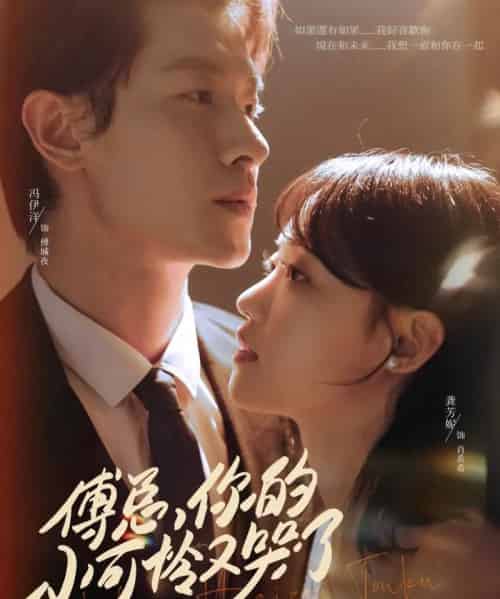 傅总你的小可怜又哭了(80集)冯伊洋&龚芳妮-搜外项目网