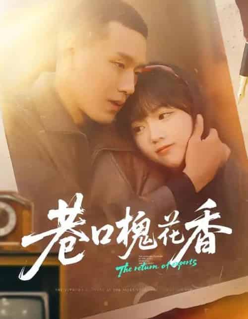 巷口槐花香(65集全)王慧龙&烨喵-搜外项目网