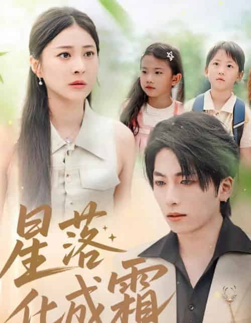 星落化成霜（66集全）宋雯娟＆杨辰瑞-搜外项目网