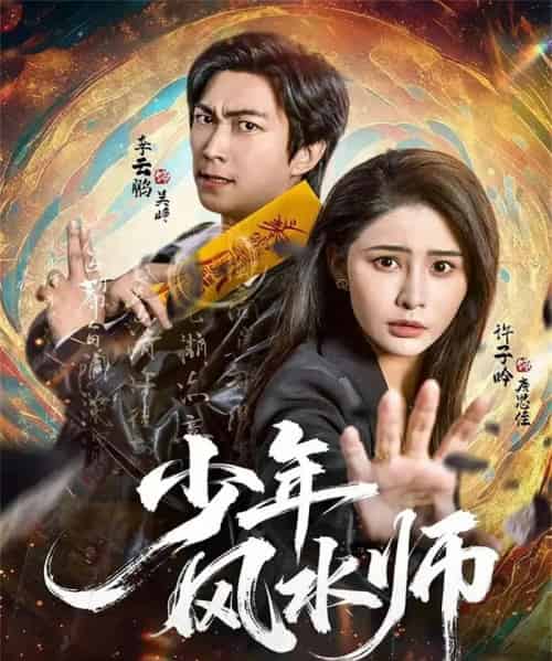 少年风水师(83集全)李云鹏&许子吟-搜外项目网