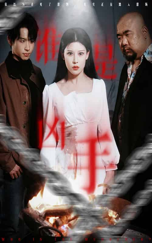 谁是凶手（31集全）严浩＆刘欣然＆刘美一-搜外项目网