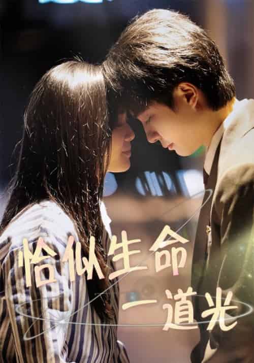 恰似生命一道光（60集全）柳田＆罗茂阳-搜外项目网