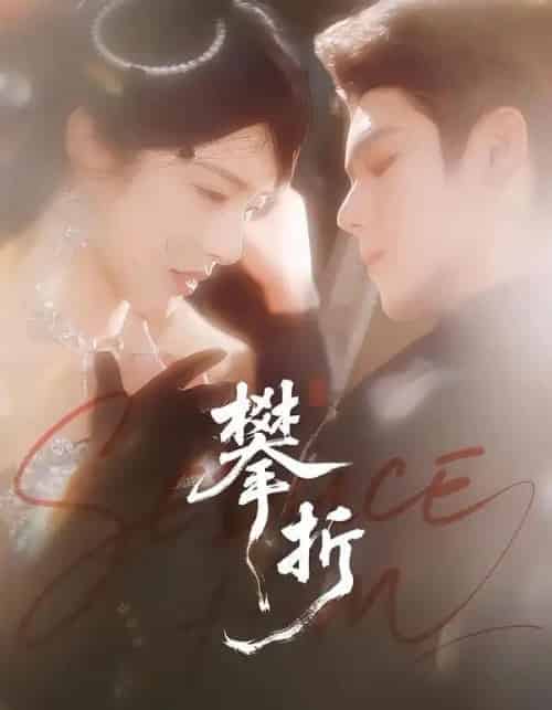 攀折(100集全)聂基坤&刘允乐-搜外项目网