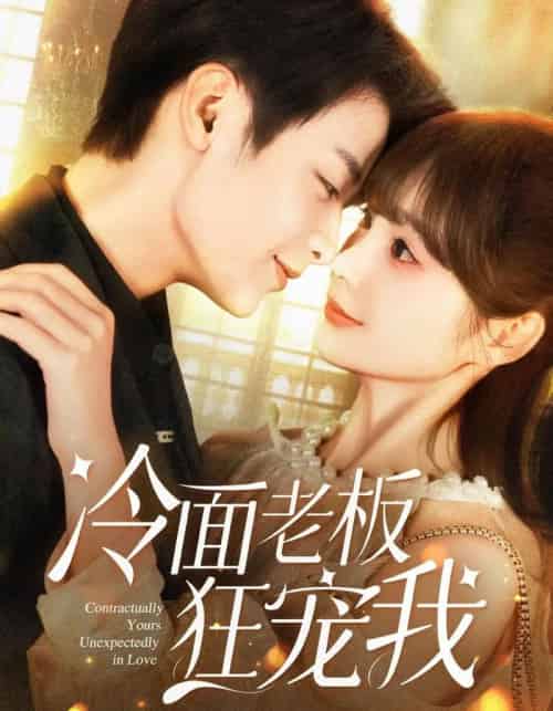 冷面老板狂宠我（78集）赵美旋＆纪俊良-搜外项目网
