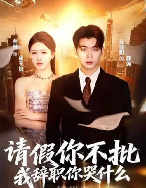 请假你不批，我辞职你哭什么（64集全）叁野＆苏逸阳-搜外项目网