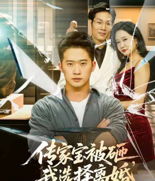 传家宝被砸，我选择离婚（51集）陈恩睫-搜外项目网