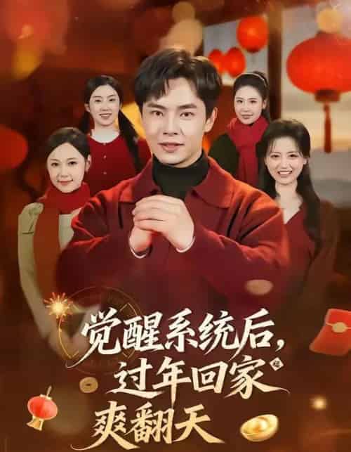 觉醒系统后，过年回家爽翻天（80集全）张闻宇＆潘紫允-搜外项目网