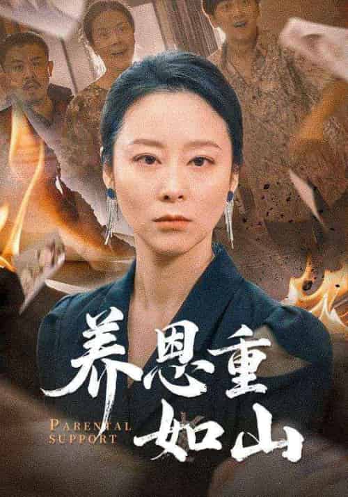 养恩重如山(56集全)纪泠希-搜外项目网