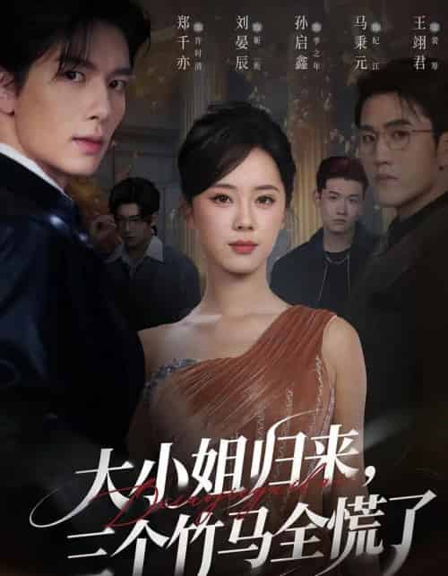 大小姐归来三个竹马全慌了（65集全）孙启鑫＆郑千亦＆刘晏辰-搜外项目网