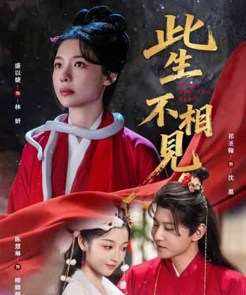 此生不相见(84集全)盛以婕&祁圣翰-搜外项目网
