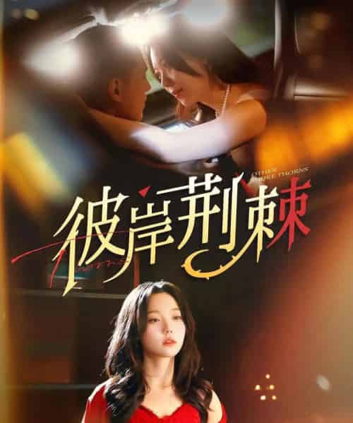 彼岸荆棘(88集)王慧龙&张贻乔-搜外项目网