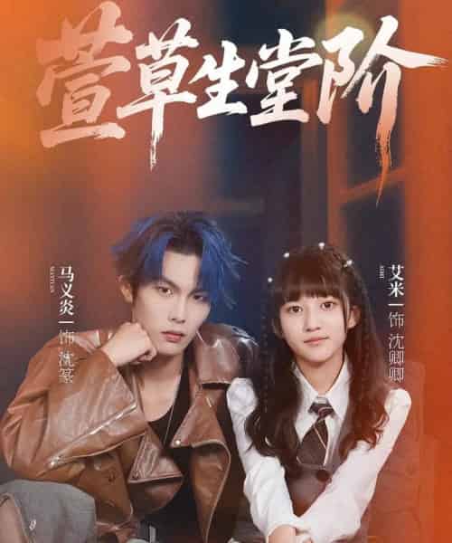 萱草生堂阶 （70集全） 马义炎＆艾米-搜外项目网