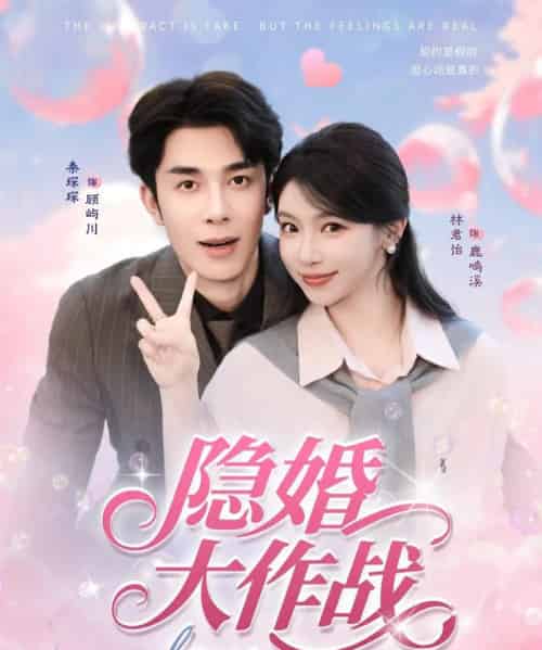 隐婚大作战（82集全）秦琛琛＆林君怡-搜外项目网