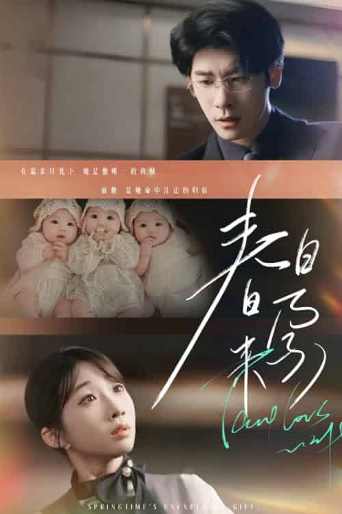 春日来孕＆你比星河璀璨＆坠入温柔月光（60集）张洪鑫＆田欣雅-搜外项目网