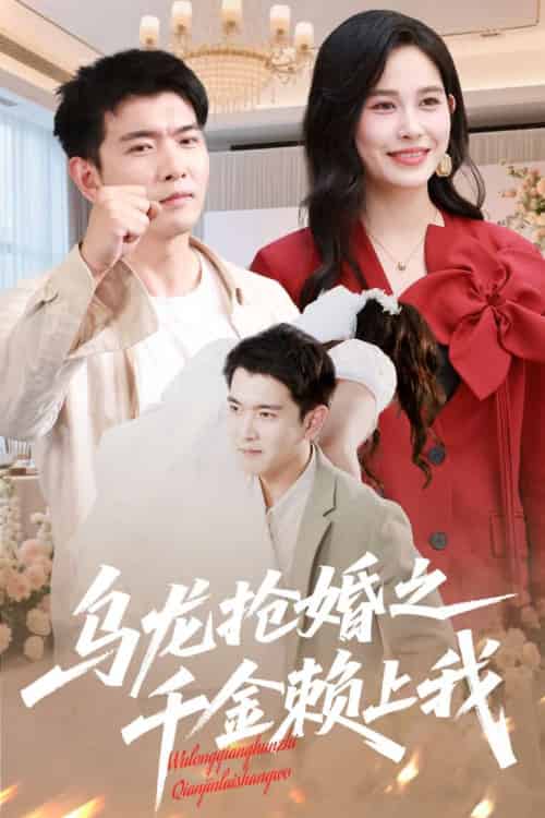 乌龙抢婚之千金赖上我（60集）于介平＆张乐瑶-搜外项目网