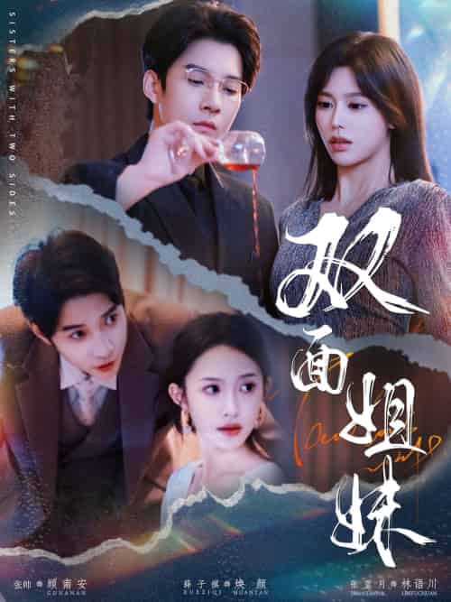双面姐妹（48集）薛子祺＆白羽-搜外项目网