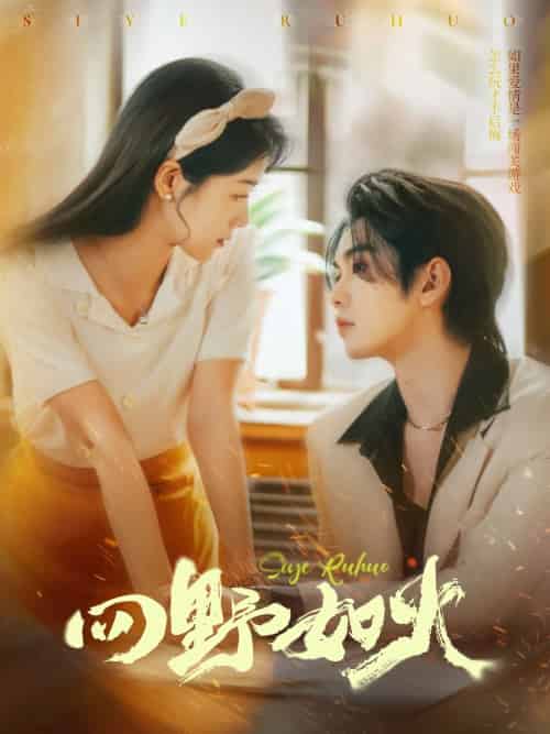 四野如火（79集）叶皓然＆徐思祁-搜外项目网