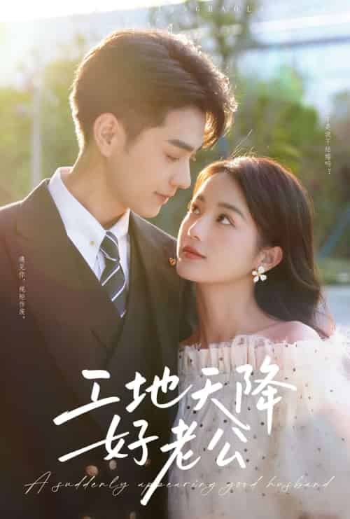 工地天降好老公（60集）王彦鑫＆马倩倩-搜外项目网