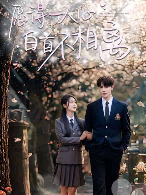 愿得一人心白首不相离(80集)王梓亦&魏凡舒-搜外项目网